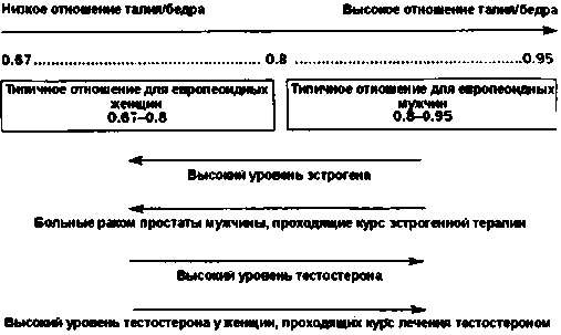 Тайны пола. Мужчина и женщина в зеркале эволюции