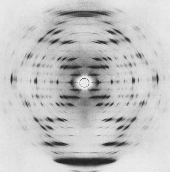 Восхождение человечества