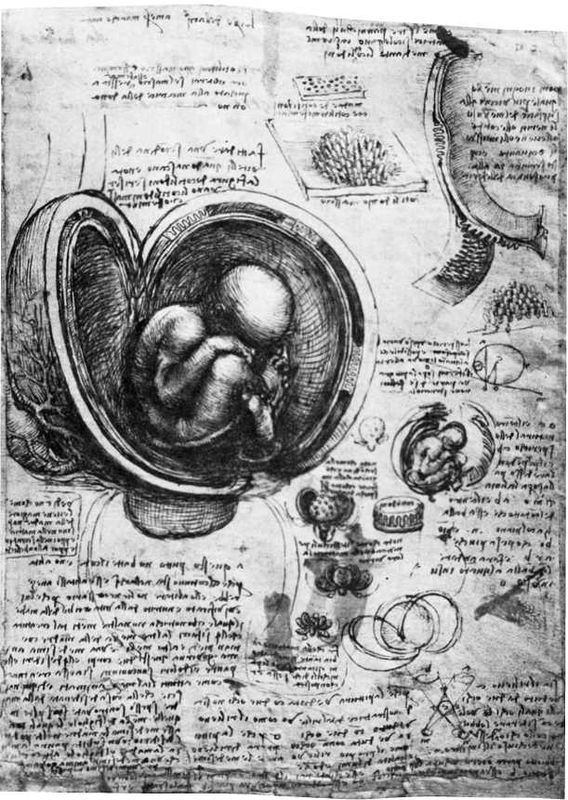 Восхождение человечества