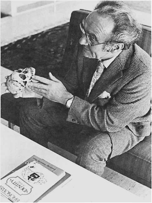 Восхождение человечества