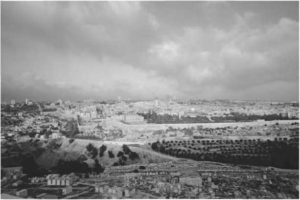 Восхождение человечества