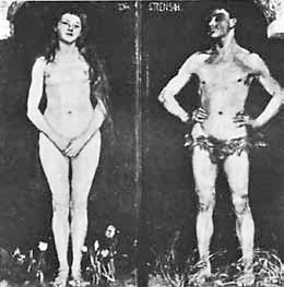 Искусство видеть Искусство видеть