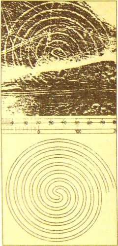 Пустыня Наска. Следы иного разума