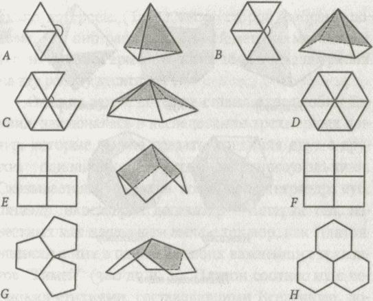 Алекс в стране чисел. Необычайное путешествие в волшебный мир математики Алекс в стране чисел. Необычайное путешествие в волшебный мир математики