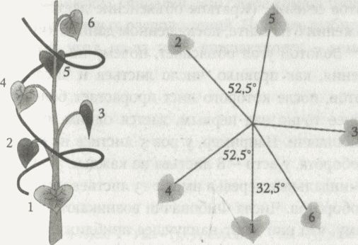 Алекс в стране чисел. Необычайное путешествие в волшебный мир математики Алекс в стране чисел. Необычайное путешествие в волшебный мир математики