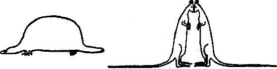 Алекс в стране чисел. Необычайное путешествие в волшебный мир математики Алекс в стране чисел. Необычайное путешествие в волшебный мир математики