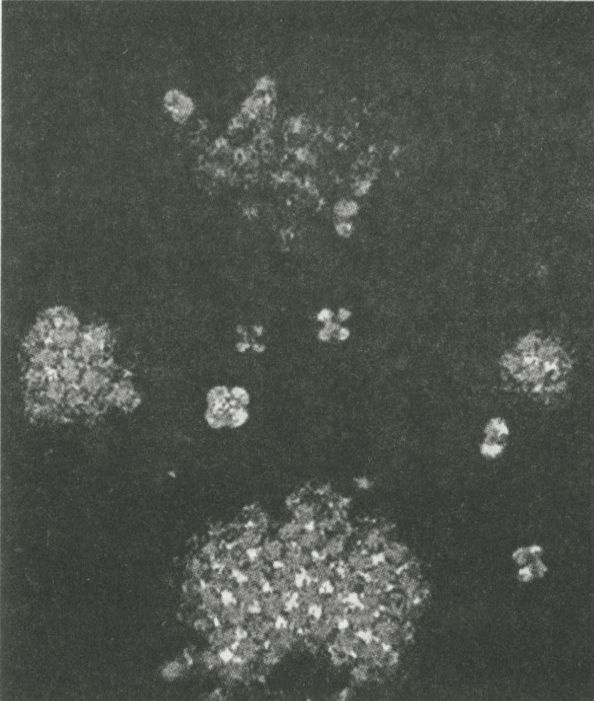 Нанонауки. Невидимая революция