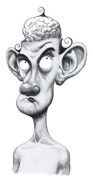 История мозга. 1640 фактов История мозга. 1640 фактов