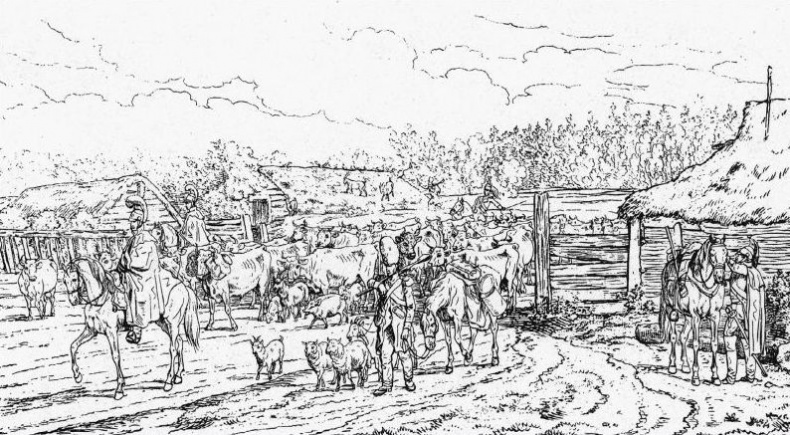 1812. Фатальный марш на Москву