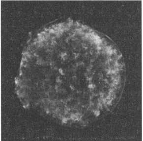 Лаплас. Небесная механика