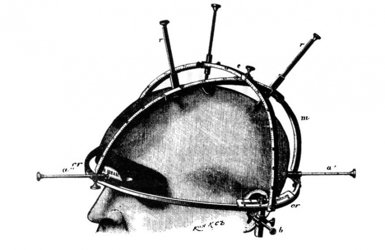 Расовые различия в интеллекте. Эволюционный анализ