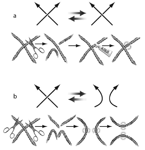 Был ли Бог математиком? Галопом по божественной Вселенной с калькулятором, штангенциркулем и таблицами Брадиса