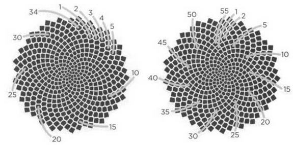 Тьюринг. Компьютерное исчисление