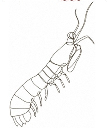 Преломление. Наука видеть иначе Преломление. Наука видеть иначе