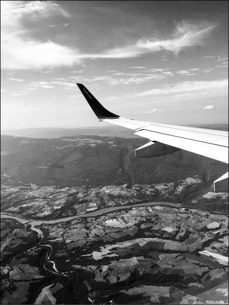 Голубь с зеленым горошком Голубь с зеленым горошком