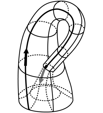 Симпсоны и их математические секреты