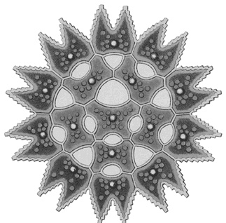 Математика для гиков Математика для гиков