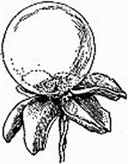 Математика для гиков Математика для гиков