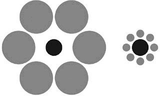 Не бери в голову. 100 фактов о том, как подсознание влияет на наши решения