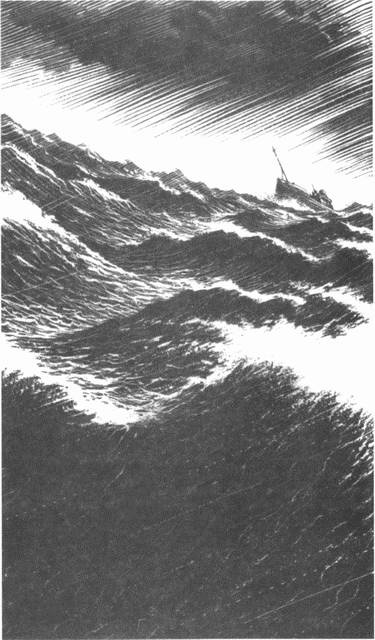 Занимательное волноведение. Волнения и колебания вокруг нас