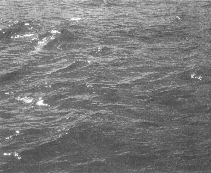 Занимательное волноведение. Волнения и колебания вокруг нас