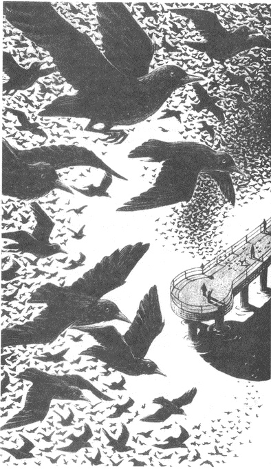 Занимательное волноведение. Волнения и колебания вокруг нас