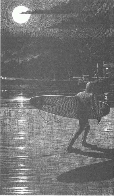 Занимательное волноведение. Волнения и колебания вокруг нас