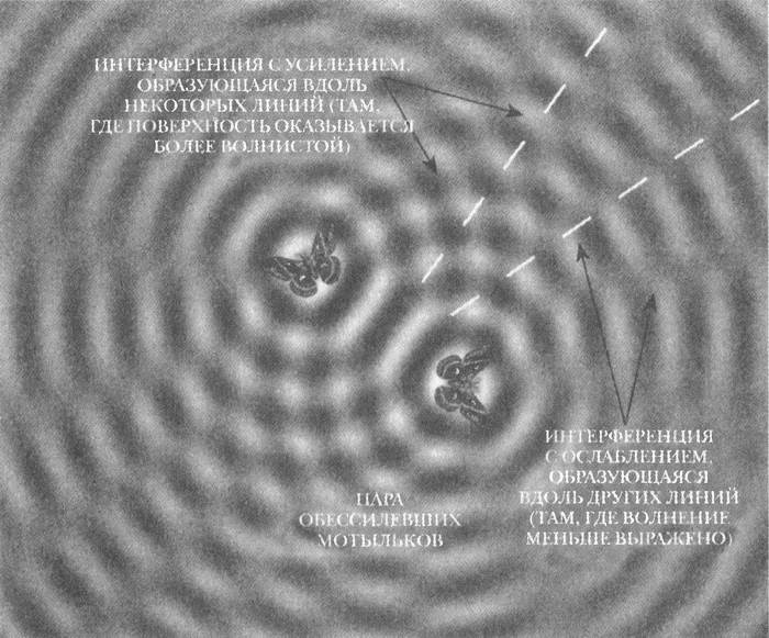 Занимательное волноведение. Волнения и колебания вокруг нас