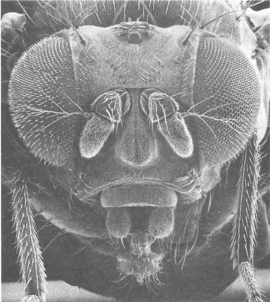 Занимательное волноведение. Волнения и колебания вокруг нас