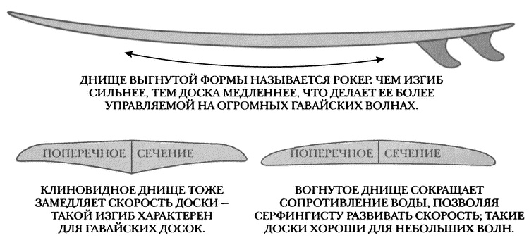 Занимательное волноведение. Волнения и колебания вокруг нас