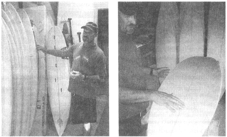 Занимательное волноведение. Волнения и колебания вокруг нас