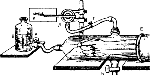 Занимательная физиология
