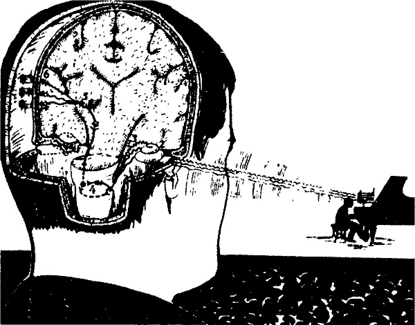 Занимательная физиология