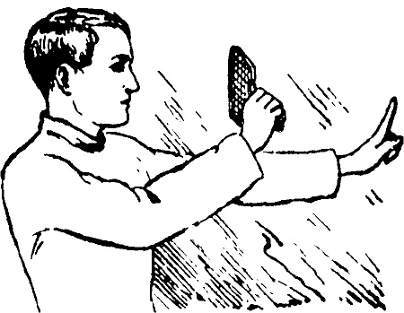 Занимательная физиология