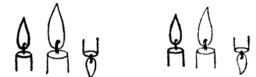 Занимательная физиология