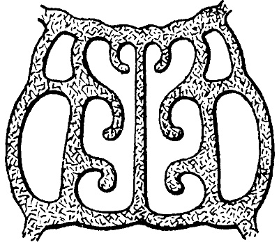 Занимательная физиология