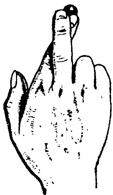 Занимательная физиология