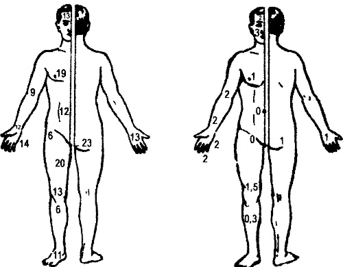 Занимательная физиология