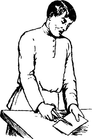 Занимательная физиология