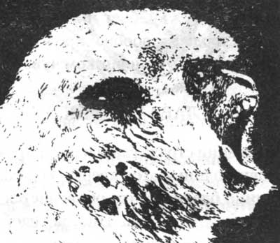 Занимательная физиология