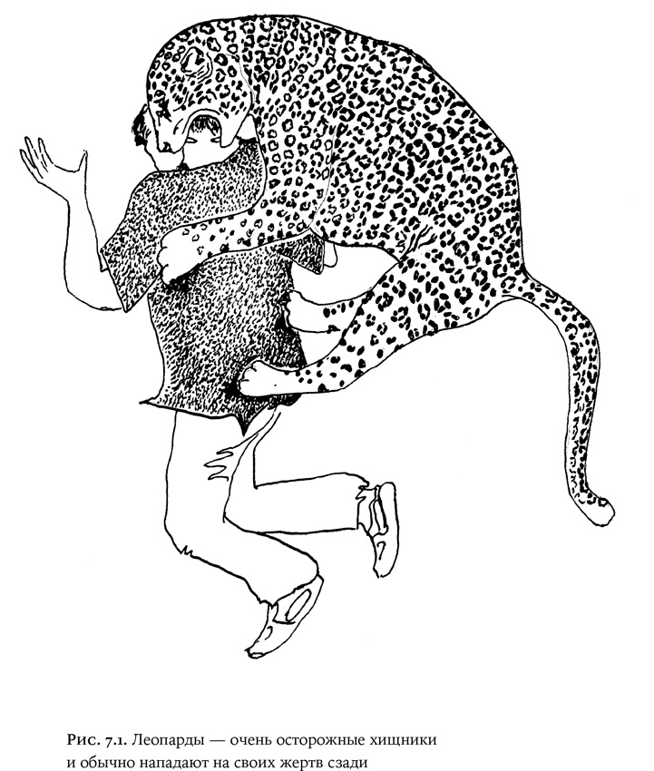 Люди и звери. Мифы и реальность