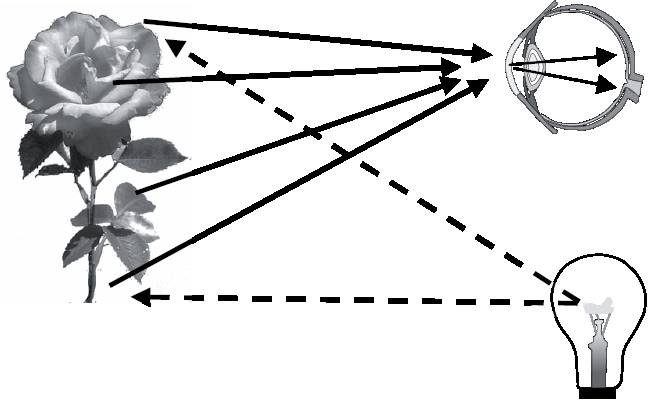 Абсолютный минимум. Как квантовая теория объясняет наш мир