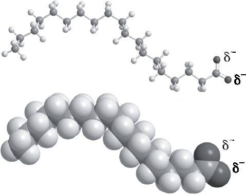Абсолютный минимум. Как квантовая теория объясняет наш мир