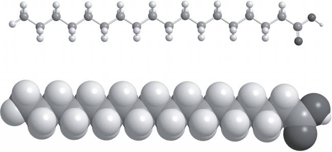 Абсолютный минимум. Как квантовая теория объясняет наш мир