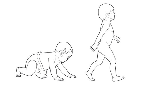 Диагностика и лечение позвоночника. Уникальная система доктора А. М. Уриа Диагностика и лечение позвоночника. Уникальная система доктора А. М. Уриа