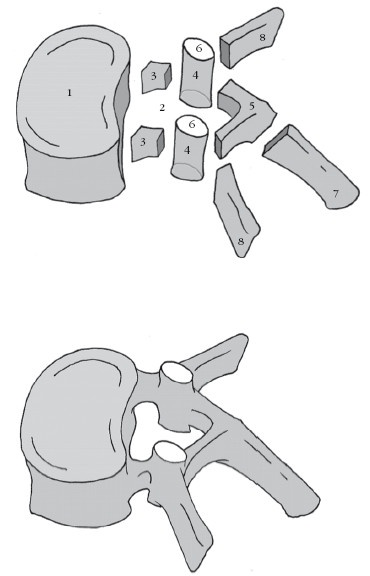 Диагностика и лечение позвоночника. Уникальная система доктора А. М. Уриа Диагностика и лечение позвоночника. Уникальная система доктора А. М. Уриа