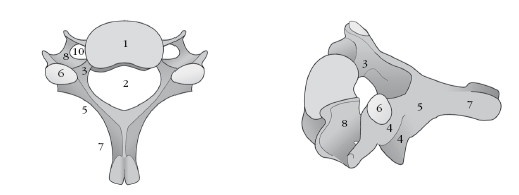 Диагностика и лечение позвоночника. Уникальная система доктора А. М. Уриа Диагностика и лечение позвоночника. Уникальная система доктора А. М. Уриа