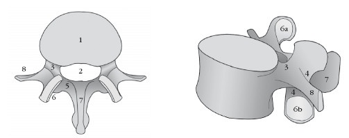 Диагностика и лечение позвоночника. Уникальная система доктора А. М. Уриа Диагностика и лечение позвоночника. Уникальная система доктора А. М. Уриа