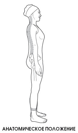Диагностика и лечение позвоночника. Уникальная система доктора А. М. Уриа Диагностика и лечение позвоночника. Уникальная система доктора А. М. Уриа