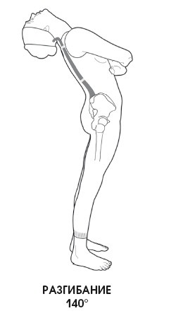 Диагностика и лечение позвоночника. Уникальная система доктора А. М. Уриа Диагностика и лечение позвоночника. Уникальная система доктора А. М. Уриа